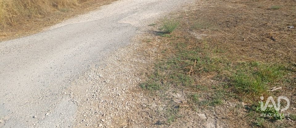 Terreny urbà de 1.008 m² a Zarcilla de Ramos (30810)