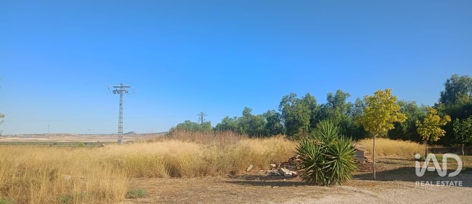 Terreny urbà de 1.008 m² a Zarcilla de Ramos (30810)