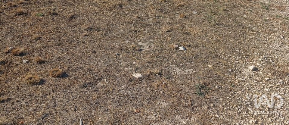 Terreny urbà de 1.008 m² a Zarcilla de Ramos (30810)