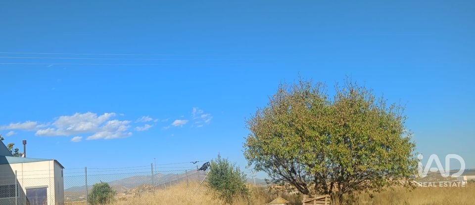 Terreny urbà de 1.008 m² a Zarcilla de Ramos (30810)