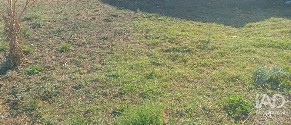 Terreny urbà de 1.008 m² a Zarcilla de Ramos (30810)