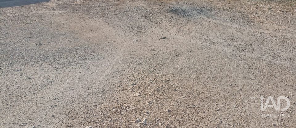 Terreny urbà de 1.008 m² a Zarcilla de Ramos (30810)