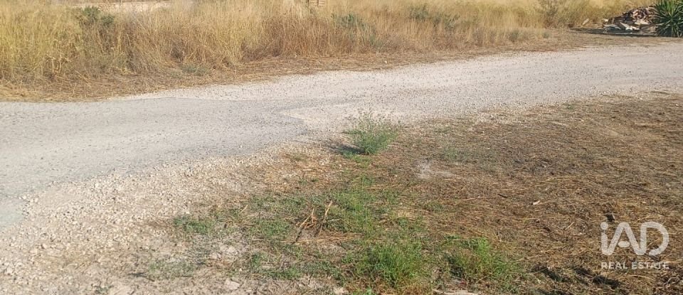 Terreny urbà de 1.008 m² a Zarcilla de Ramos (30810)