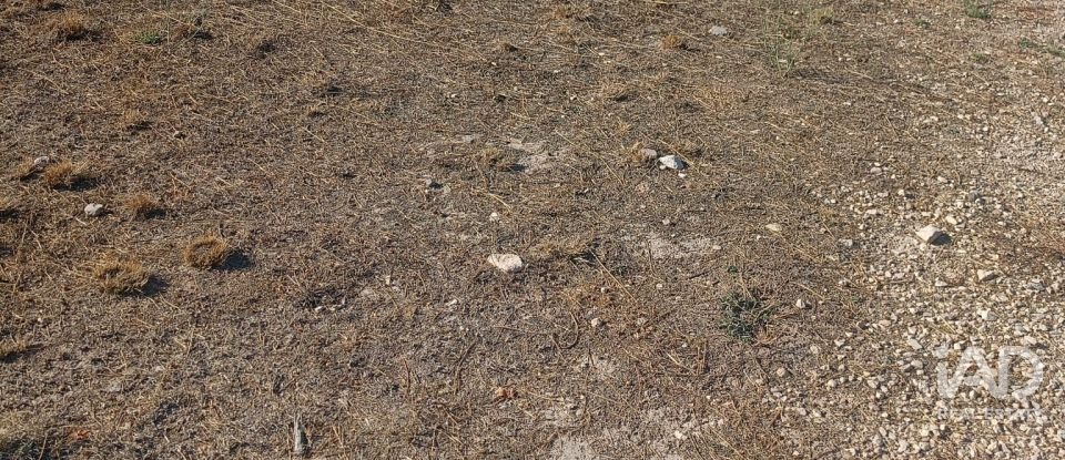 Terreny urbà de 1.008 m² a Zarcilla de Ramos (30810)