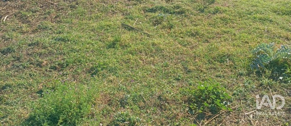 Terreny urbà de 1.008 m² a Zarcilla de Ramos (30810)