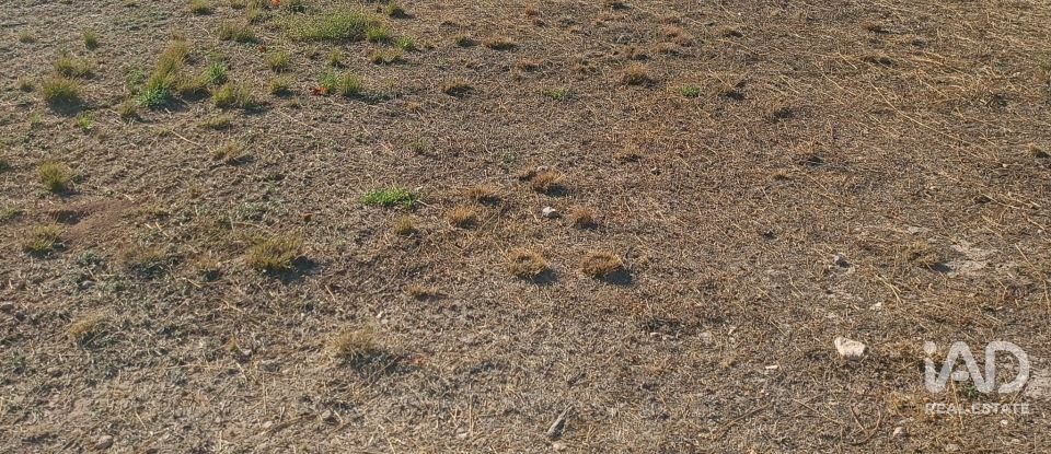 Terreny urbà de 1.008 m² a Zarcilla de Ramos (30810)