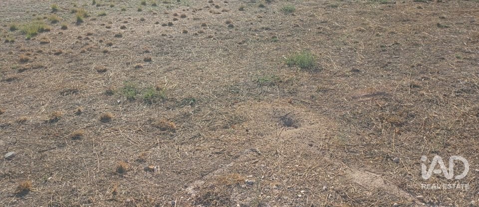 Terreny urbà de 1.008 m² a Zarcilla de Ramos (30810)