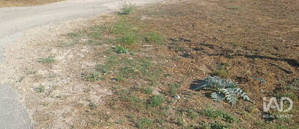 Terreny urbà de 1.008 m² a Zarcilla de Ramos (30810)