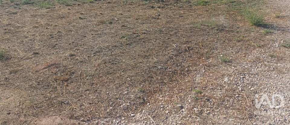 Terreny urbà de 1.008 m² a Zarcilla de Ramos (30810)