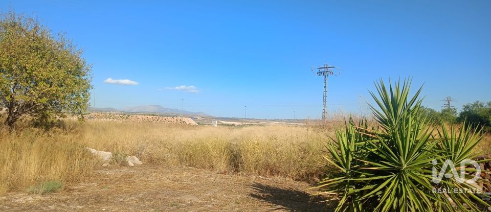 Terreny urbà de 1.008 m² a Zarcilla de Ramos (30810)