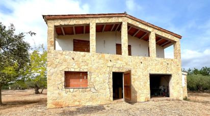 Land of 7,000 m² in L'Ampolla (43895)