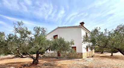 Land of 7,000 m² in L'Ampolla (43895)