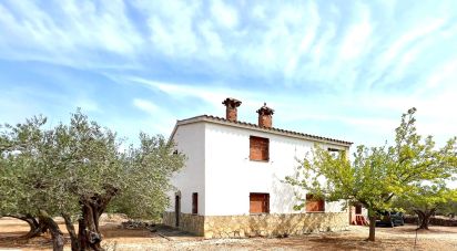 Land of 7,000 m² in L'Ampolla (43895)