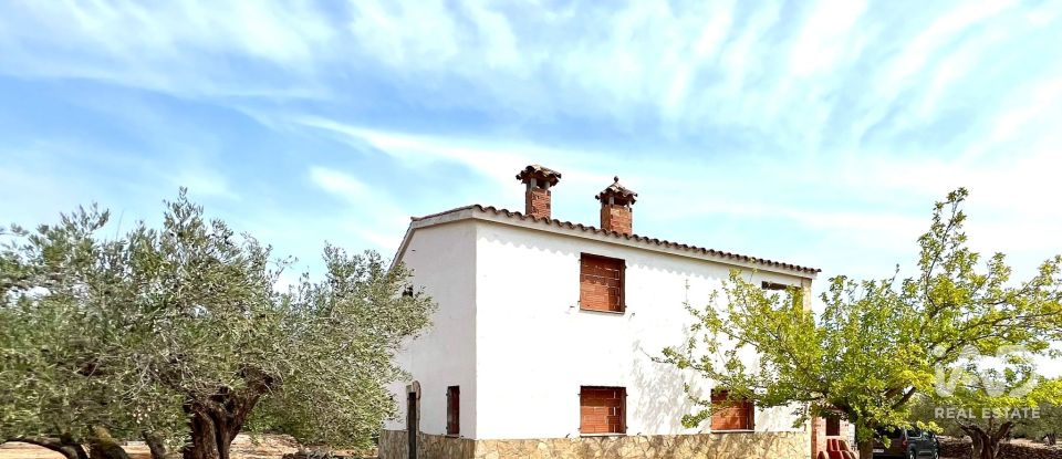 Land of 7,000 m² in L'Ampolla (43895)