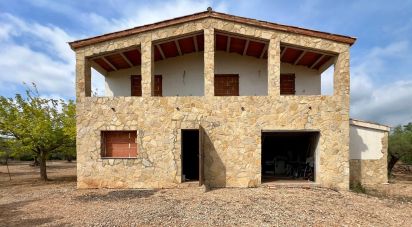 Land of 7,000 m² in L'Ampolla (43895)