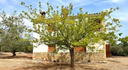 Land of 7,000 m² in L'Ampolla (43895)