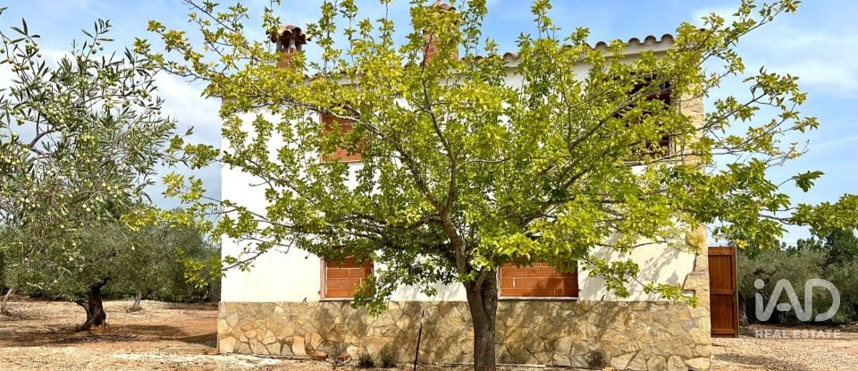 Land of 7,000 m² in L'Ampolla (43895)