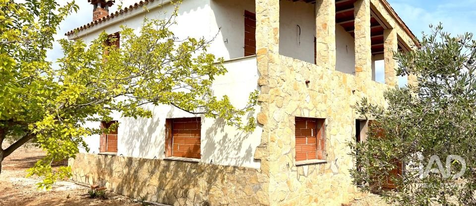 Land of 7,000 m² in L'Ampolla (43895)