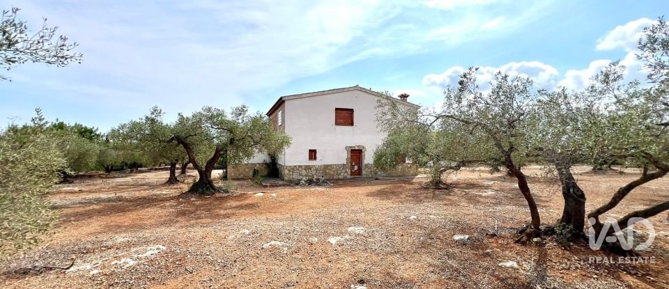 Land of 7,000 m² in L'Ampolla (43895)