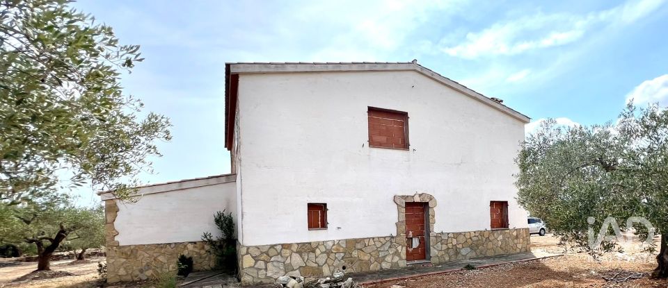 Land of 7,000 m² in L'Ampolla (43895)