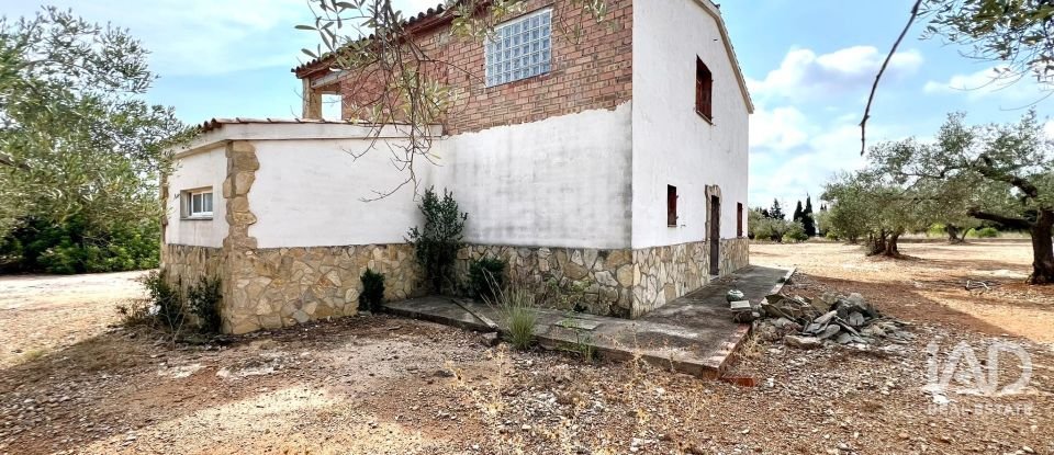 Land of 7,000 m² in L'Ampolla (43895)