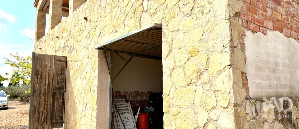 Land of 7,000 m² in L'Ampolla (43895)