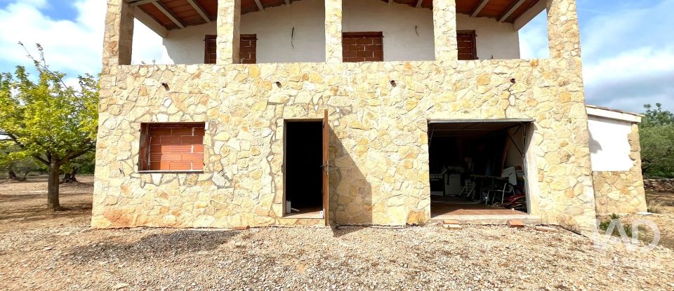 Land of 7,000 m² in L'Ampolla (43895)