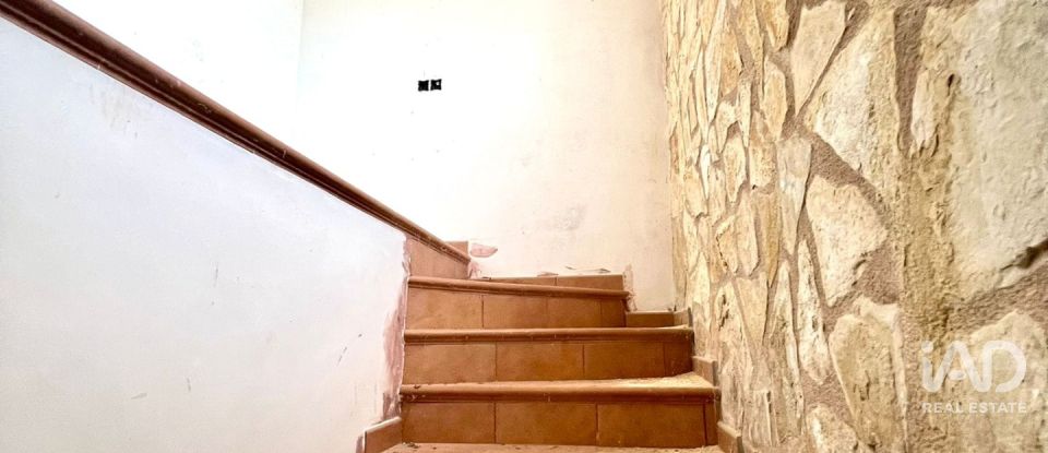 Land of 7,000 m² in L'Ampolla (43895)