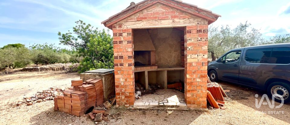 Land of 7,000 m² in L'Ampolla (43895)