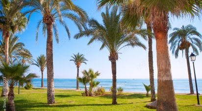 Apartment 2 bedrooms of 161 m² in Oropesa/Oropesa del Mar (12594)