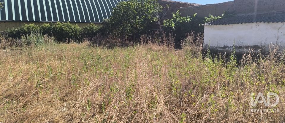 Maison 4 chambres de 98 m² à Villarrin del Paramo (24252)