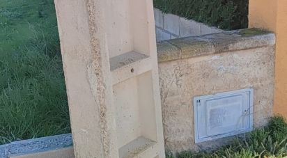 Land of 1,113 m² in Jesus (43590)