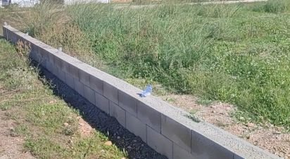 Land of 1,113 m² in Jesus (43590)