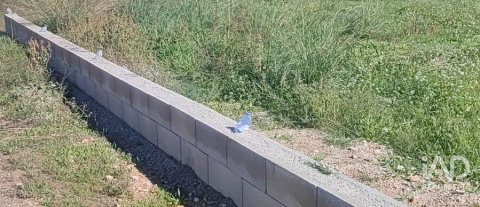 Land of 1,113 m² in Jesus (43590)