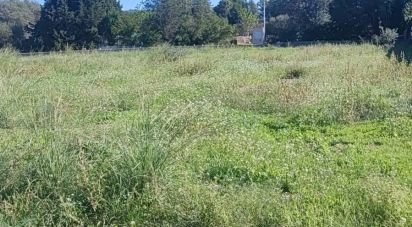 Land of 1,113 m² in Jesus (43590)