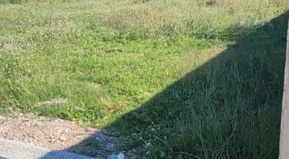 Land of 1,113 m² in Jesus (43590)