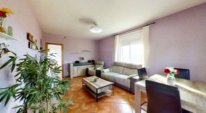 House 3 bedrooms of 144 m² in La Bisbal del Penedès (43717)