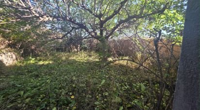 House/villa 4 bedrooms of 186 m² in Albesa (25135)