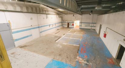 Shop / premises commercial of 1,044 m² in Vinyols i els Arcs (43391)