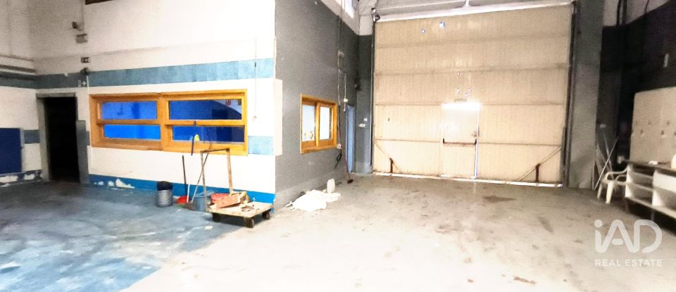 Shop / premises commercial of 1,044 m² in Vinyols i els Arcs (43391)