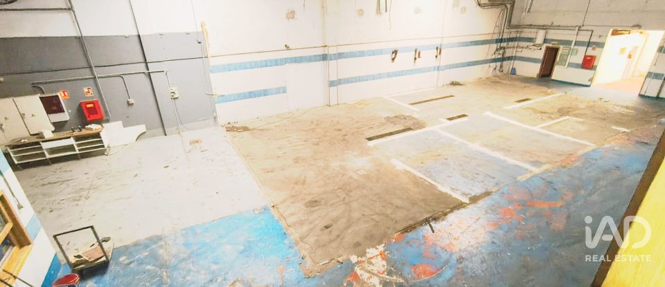 Shop / premises commercial of 1,044 m² in Vinyols i els Arcs (43391)