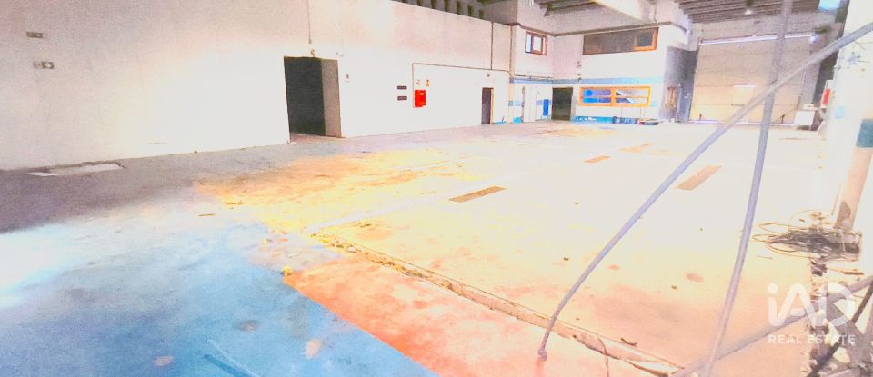 Shop / premises commercial of 1,044 m² in Vinyols i els Arcs (43391)