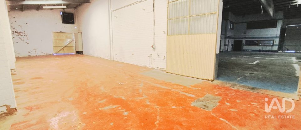 Shop / premises commercial of 1,044 m² in Vinyols i els Arcs (43391)