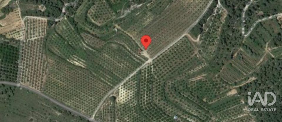 Farm land of 255,000 m² in Gandesa (43780)