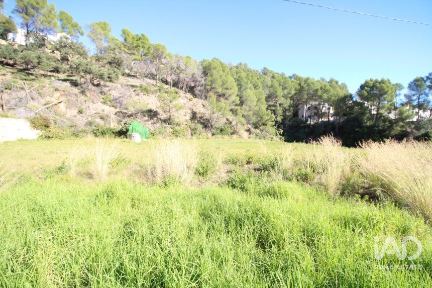 Farm land of 12,466 m² in Adsubia (03786)