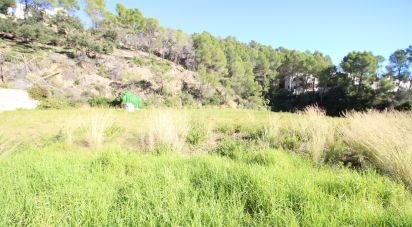 Farm land of 12,466 m² in Adsubia (03786)