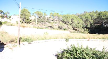 Farm land of 12,466 m² in Adsubia (03786)