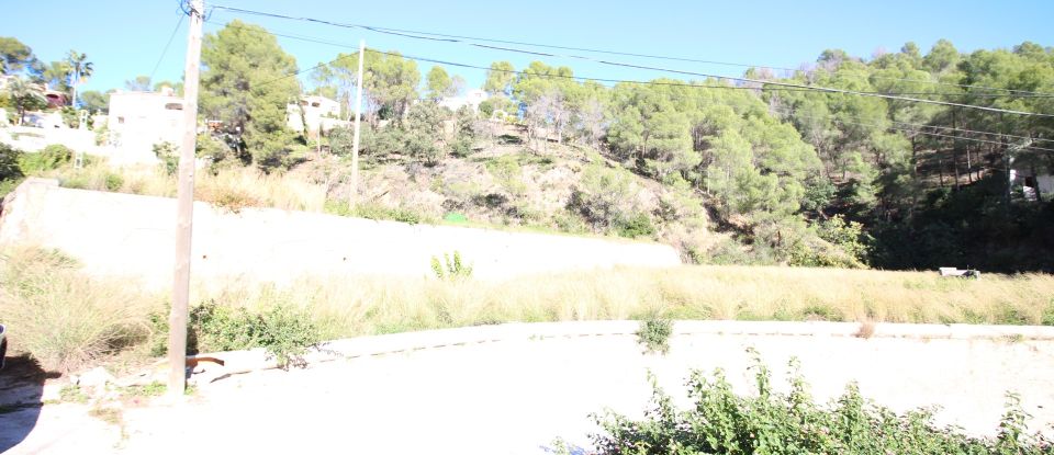 Farm land of 12,466 m² in Adsubia (03786)