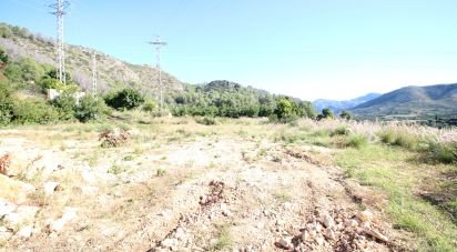 Farm land of 12,466 m² in Adsubia (03786)
