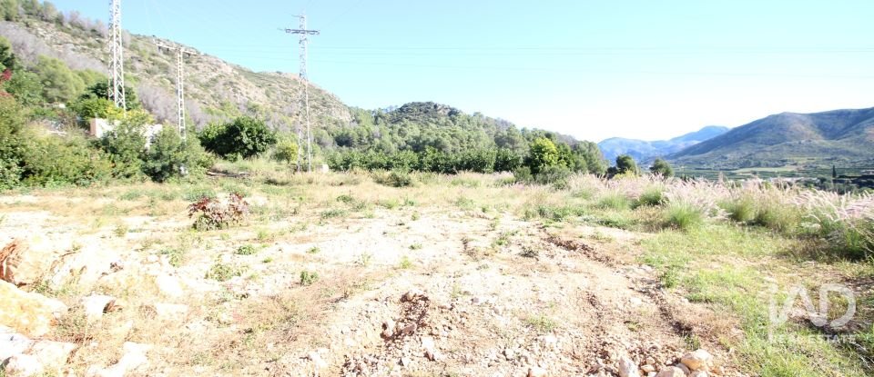 Farm land of 12,466 m² in Adsubia (03786)